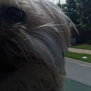 Meet your Posher, Carolyn